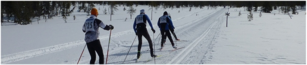 Ski nordique