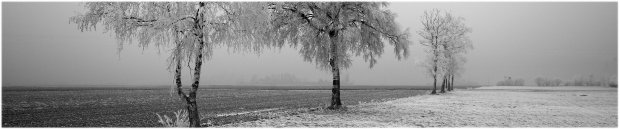 hiver